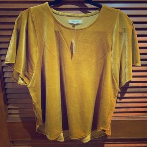 Madewell velvet shirt - NEW WITH TAGS